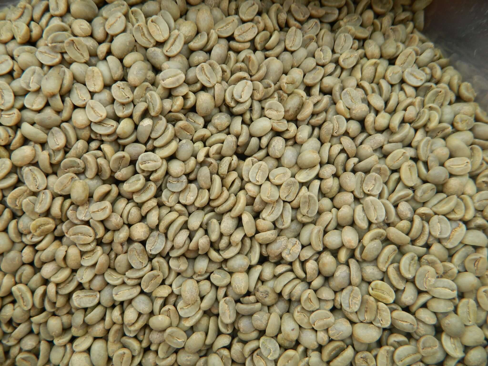Green Coffee Beans